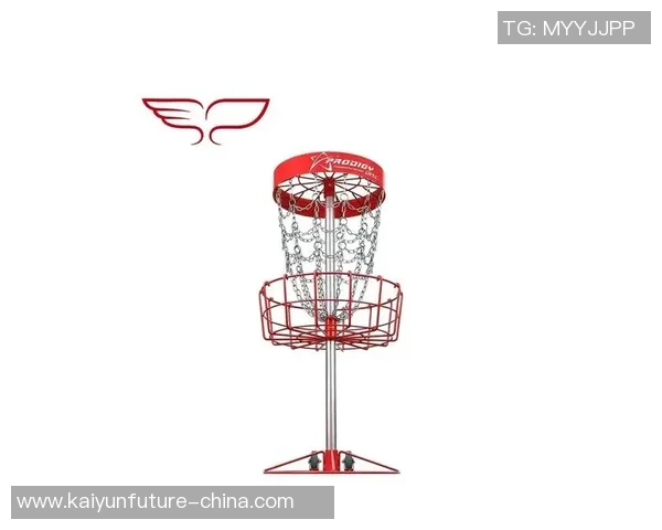 南京飞盘队快攻战术解析与飞盘运动的魅力探讨